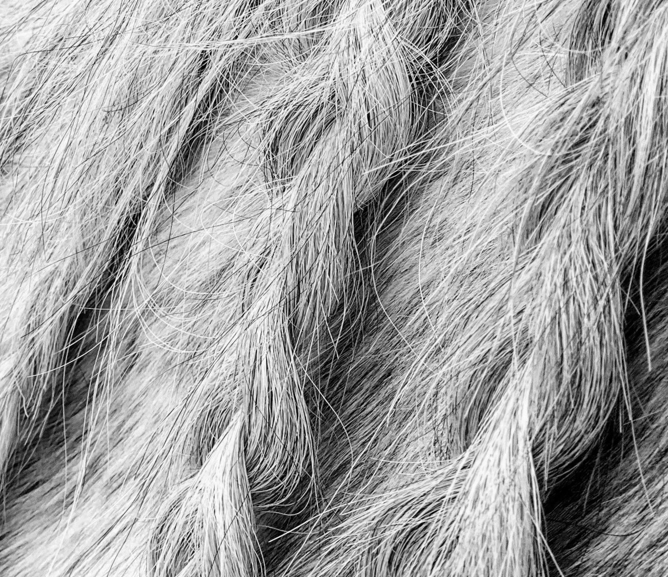 Why Your Hair Still Feels Dry Even When You’re Doing Everything Right