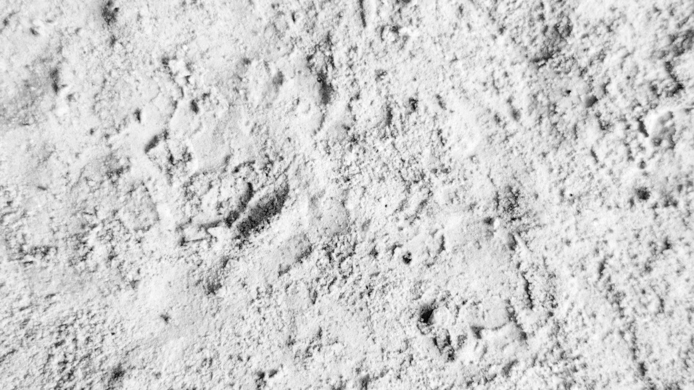 The Dirty Truth About Dry Shampoo