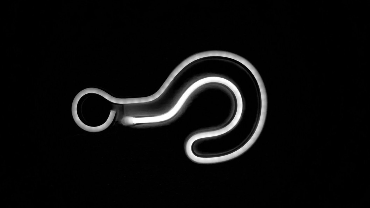 20 Questions: Fun Facts Q&A