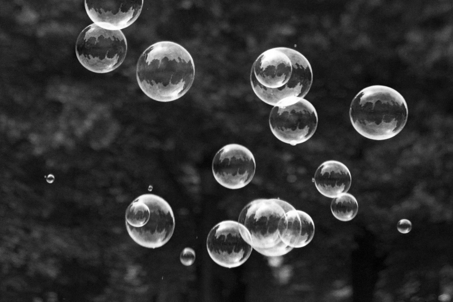 The Truth About Co-Washing: Should You Ditch the Shampoo?